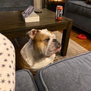 Meet your Posher, Bill